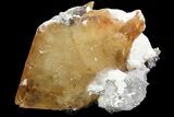 Golden Calcite Crystal with Sphalerite and Barite - Elmwood Mine #71921-1